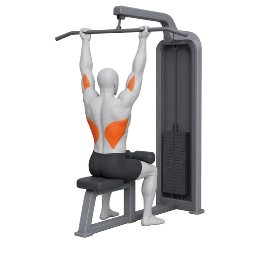Reverse Grip Lat Pulldown