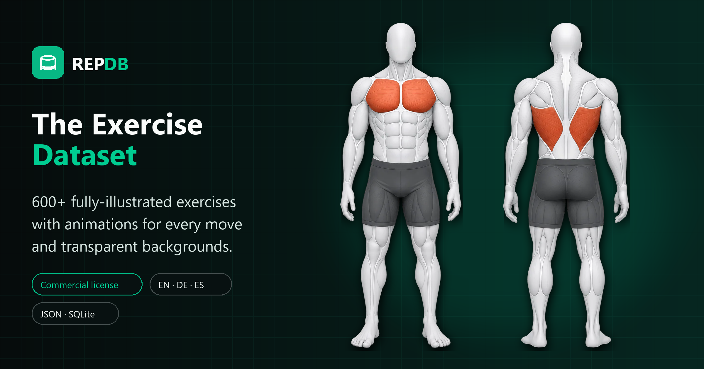 Preview image from Exercise Animations & Dataset for Fitness Apps | RepDB