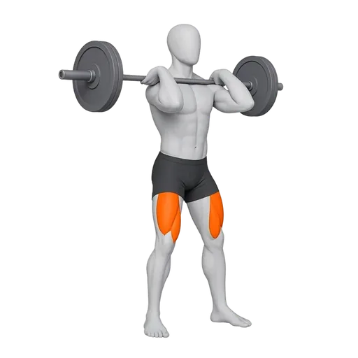 Front Squat — RepDB classic animation