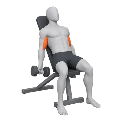 Incline Dumbbell Curl — RepDB classic animation