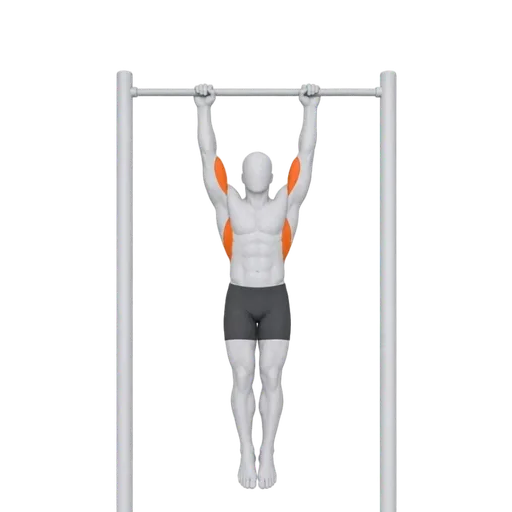 Pull-Up — RepDB classic animation