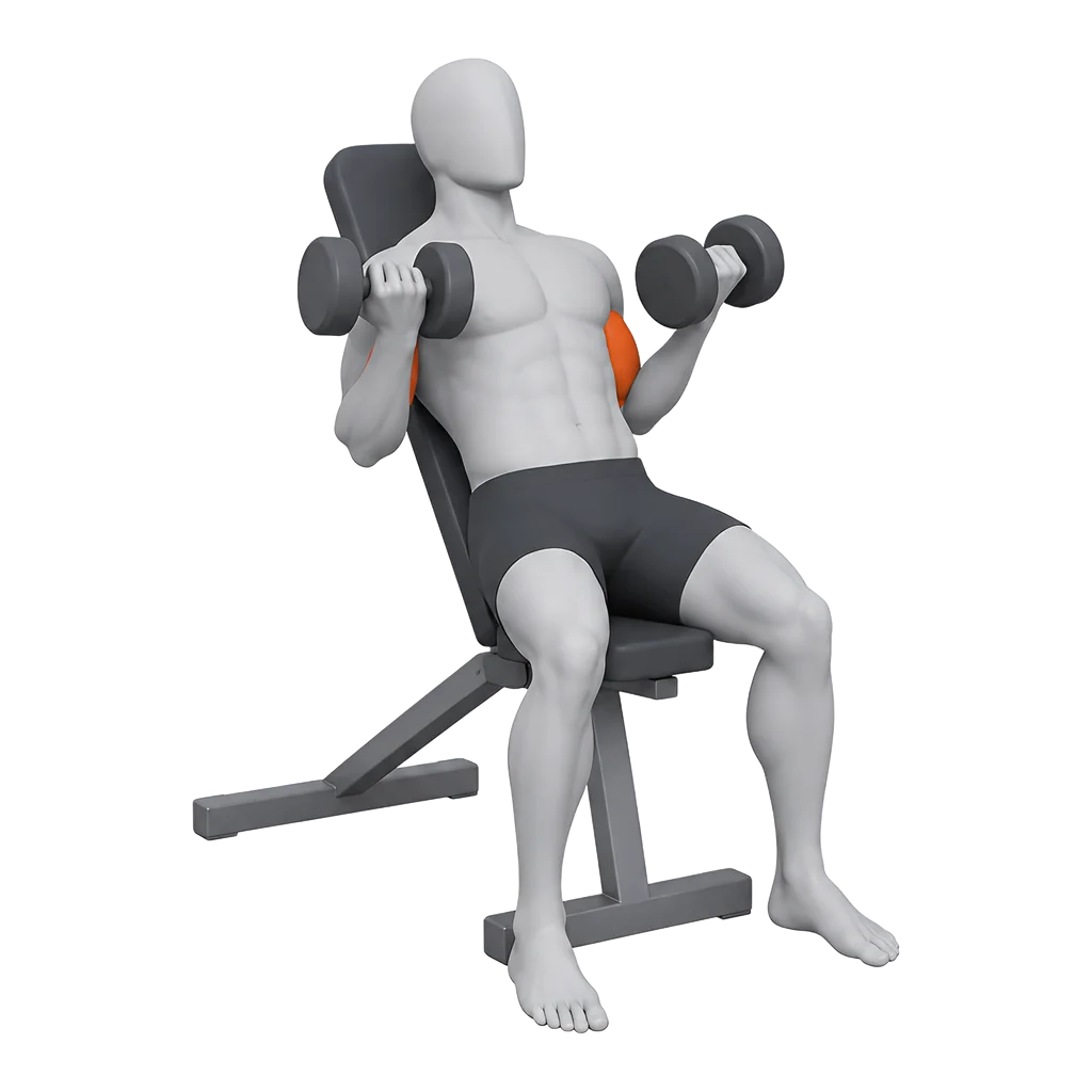 Incline Dumbbell Curl