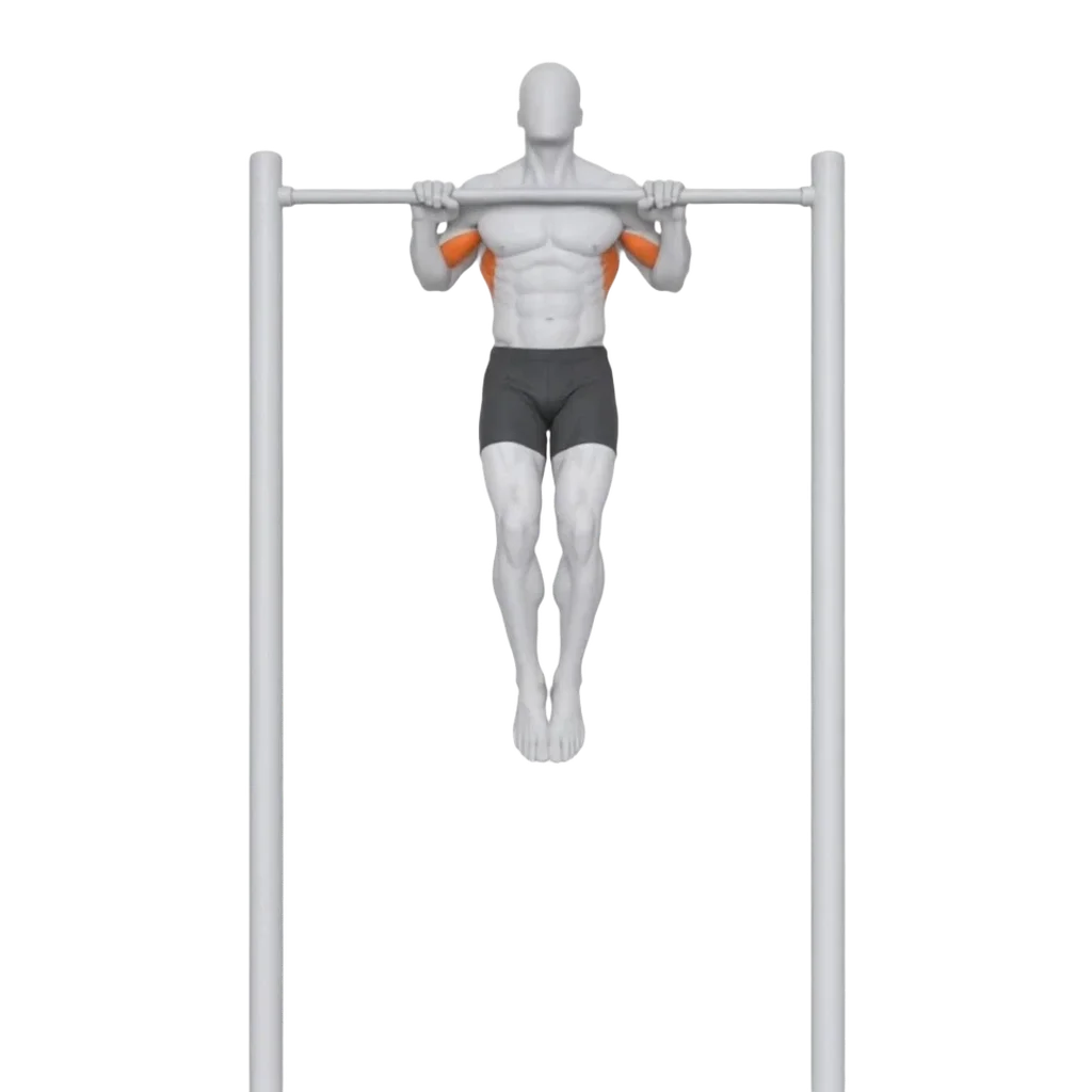 Pull-Up